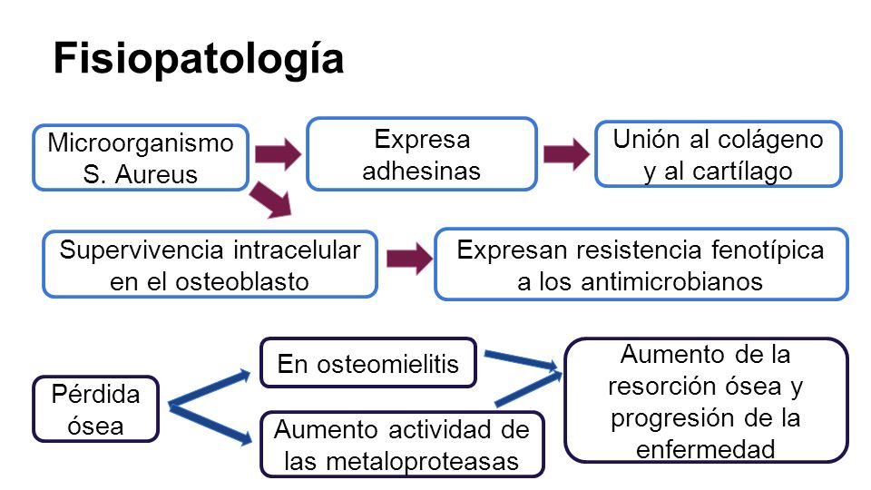 fisiopatologia del osteosarcoma